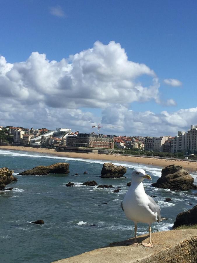 Charmant T2 Biarritz Centre Dış mekan fotoğraf