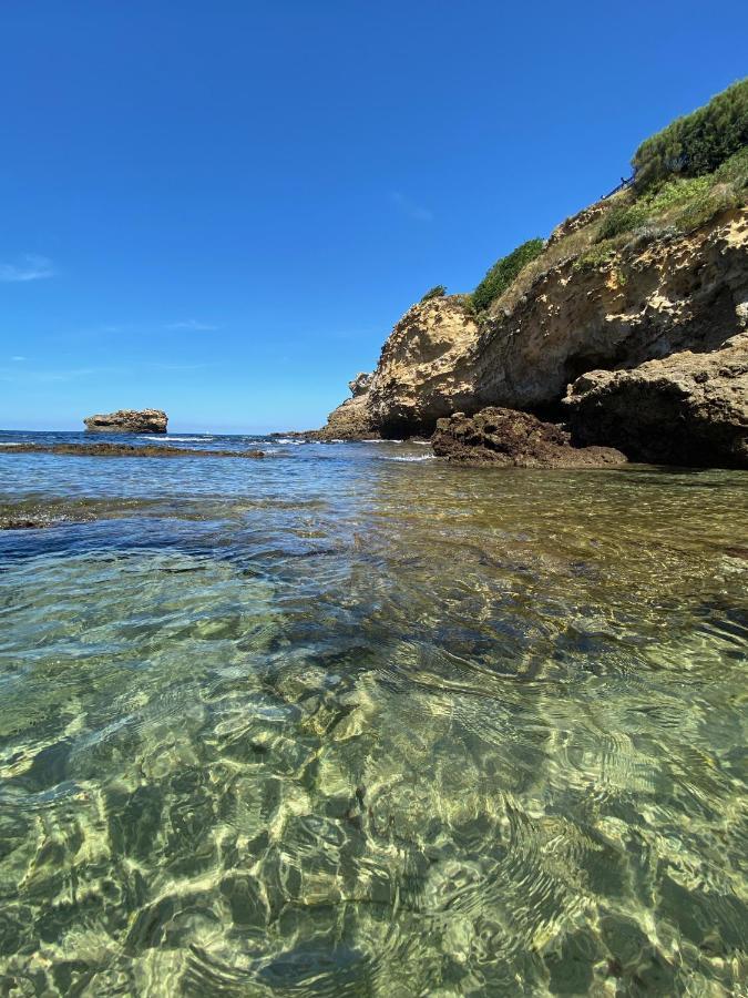 Charmant T2 Biarritz Centre Dış mekan fotoğraf