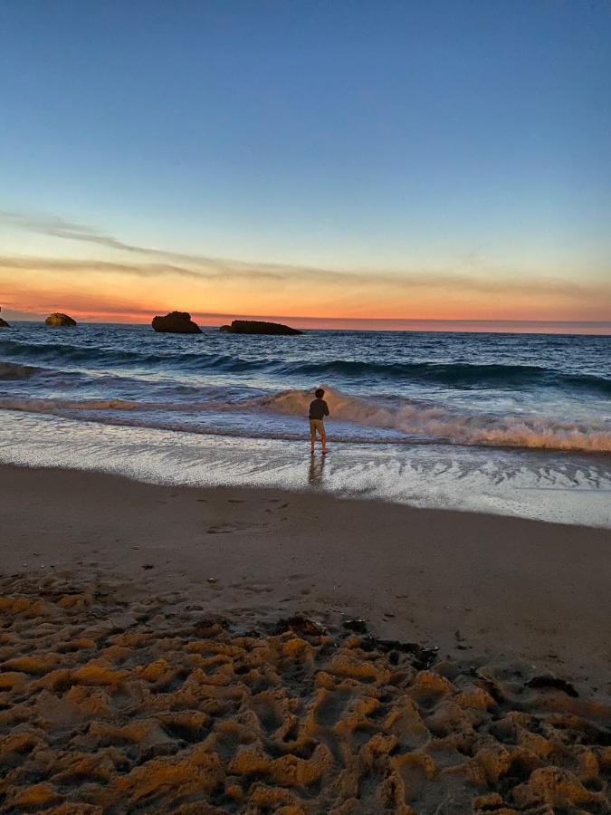 Charmant T2 Biarritz Centre Dış mekan fotoğraf