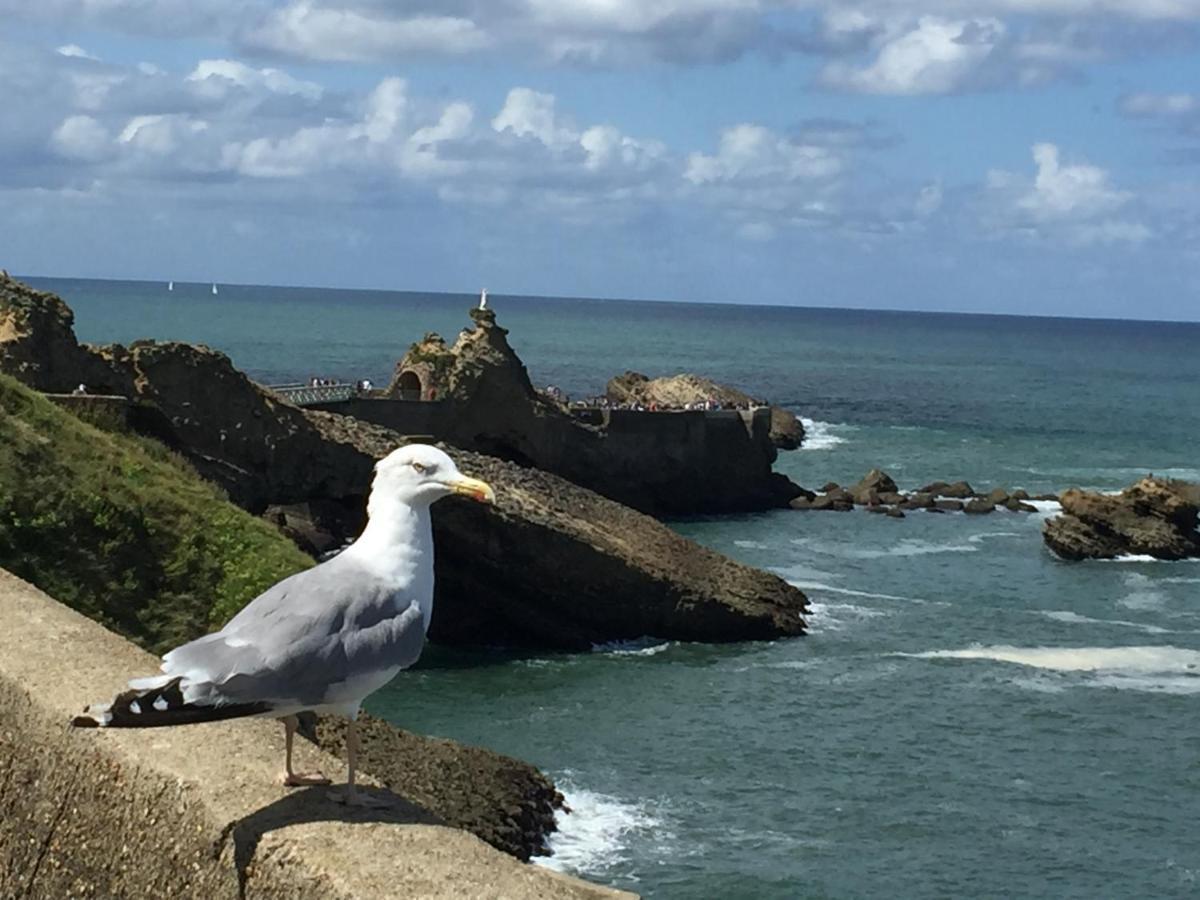 Charmant T2 Biarritz Centre Dış mekan fotoğraf