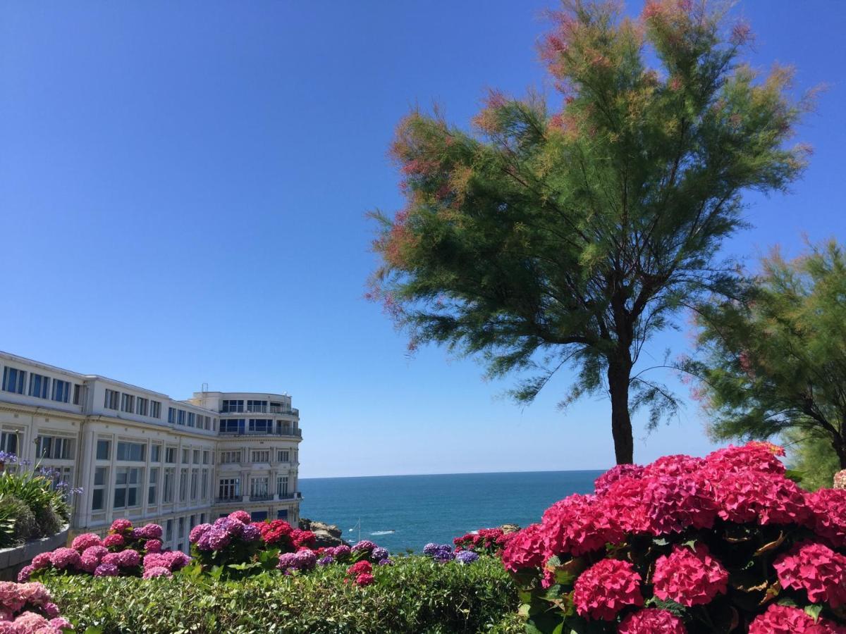 Charmant T2 Biarritz Centre Dış mekan fotoğraf